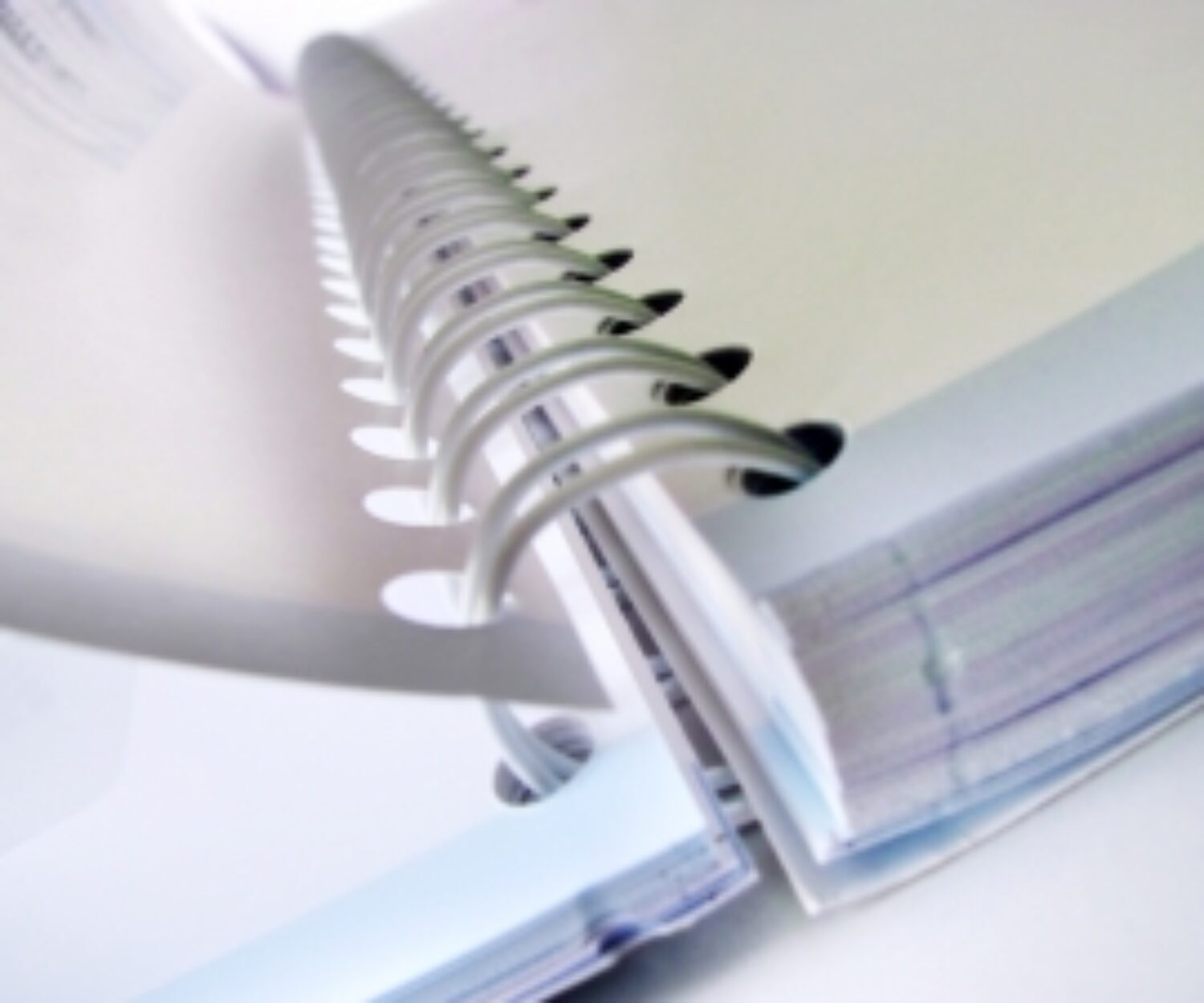 Annual report-stock.xchng